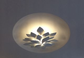 Light Blossom, Munich, Germany, 2016